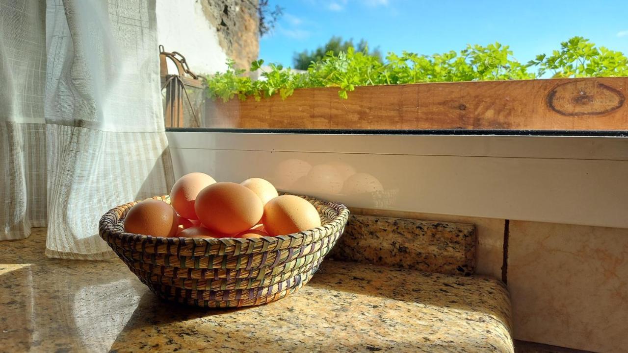 Casa Natura Ainhoa La Oliva Bagian luar foto