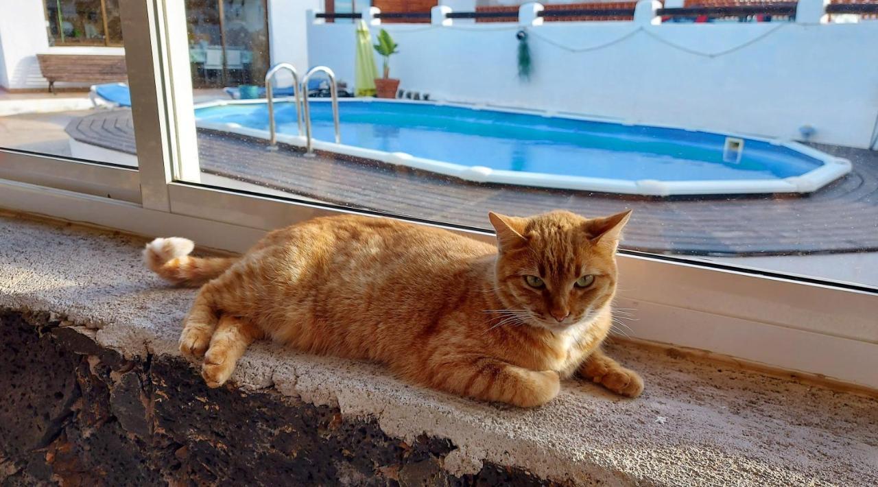 Casa Natura Ainhoa La Oliva Bagian luar foto